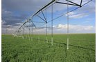 Property photo 7 - LAND AUCTION, 3255+/- Acres offered in 13 Tracts